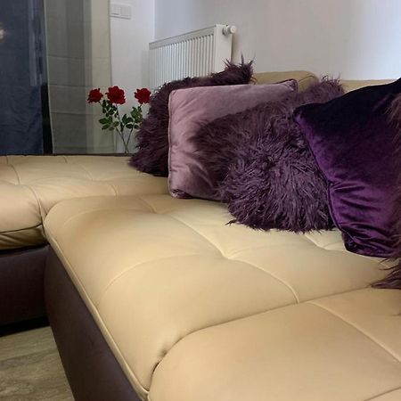Ive'S Golden Gardenia Seaside Apartment Dziwnow Bagian luar foto